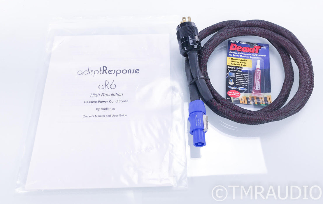 Audience Adept Response aR6T Power Conditioner