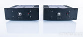 Monarchy Audio SE-100 Delux MKII Mono Power Amplifier