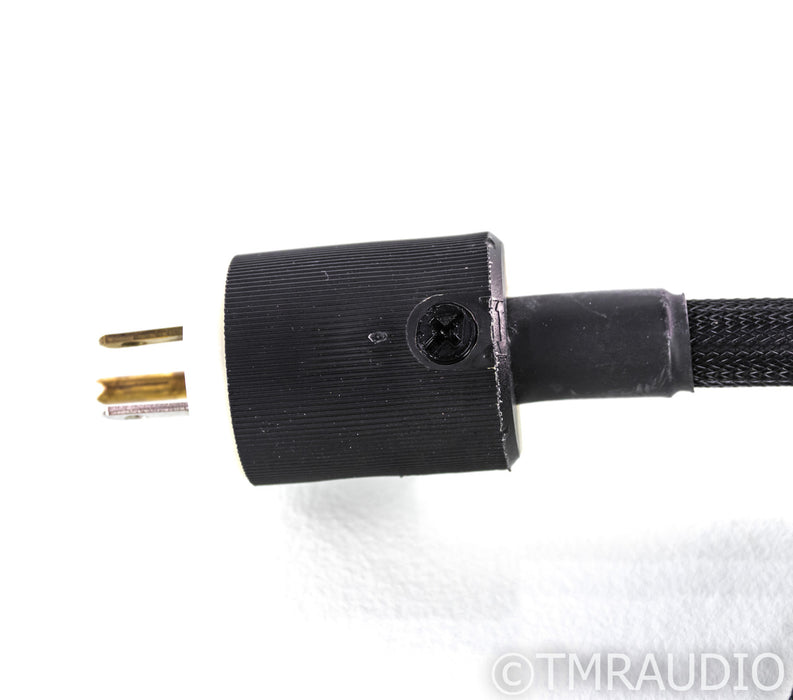 Transparent Audio Reference PowerLink Power Cable; 10ft AC Cord