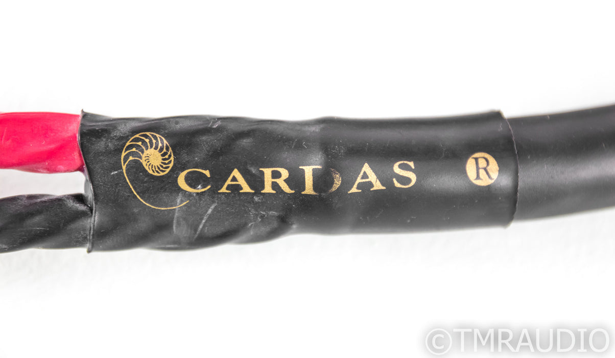 Cardas Golden Reference Speaker Cables; 10ft Pair; Spades