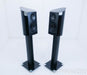 Sonus Faber Venere 2.0 Bookshelf Speakers w/ Stands