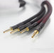 Transparent Audio Plus Biwire Speaker Cable