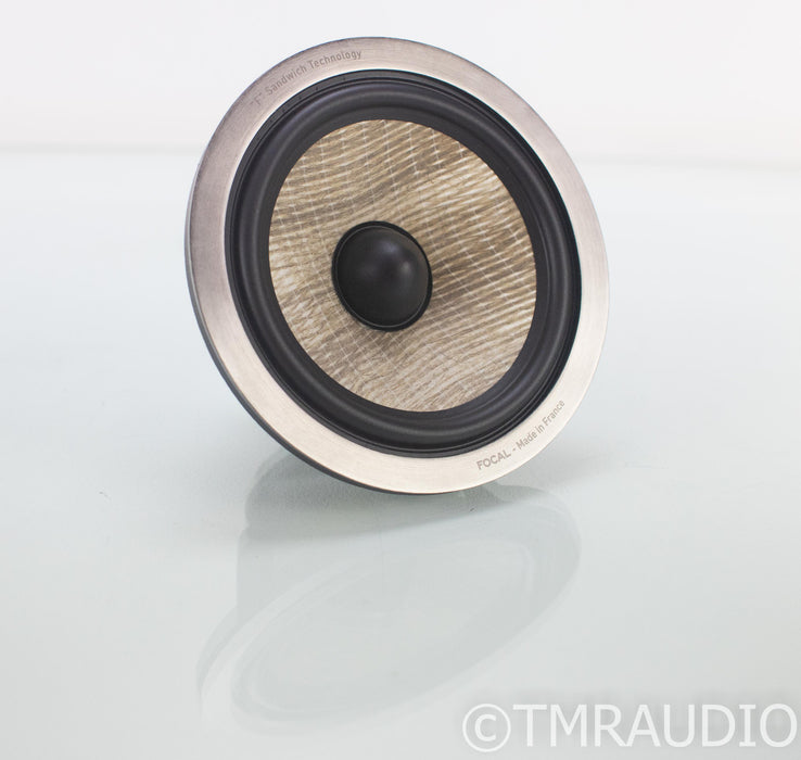 Focal Mid Frequency Driver; From Aria 926 Speakers; "F" Sandwich Midrange