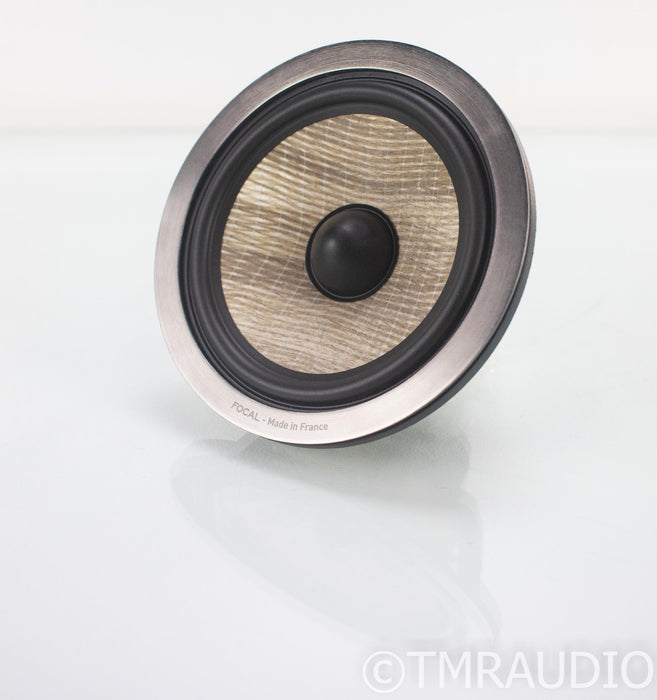 Focal Mid Frequency Driver; From Aria 926 Speakers; "F" Sandwich Midrange