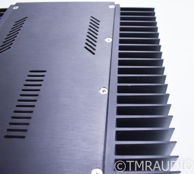 Monarchy Audio SE-100 Delux MKII Mono Power Amplifier