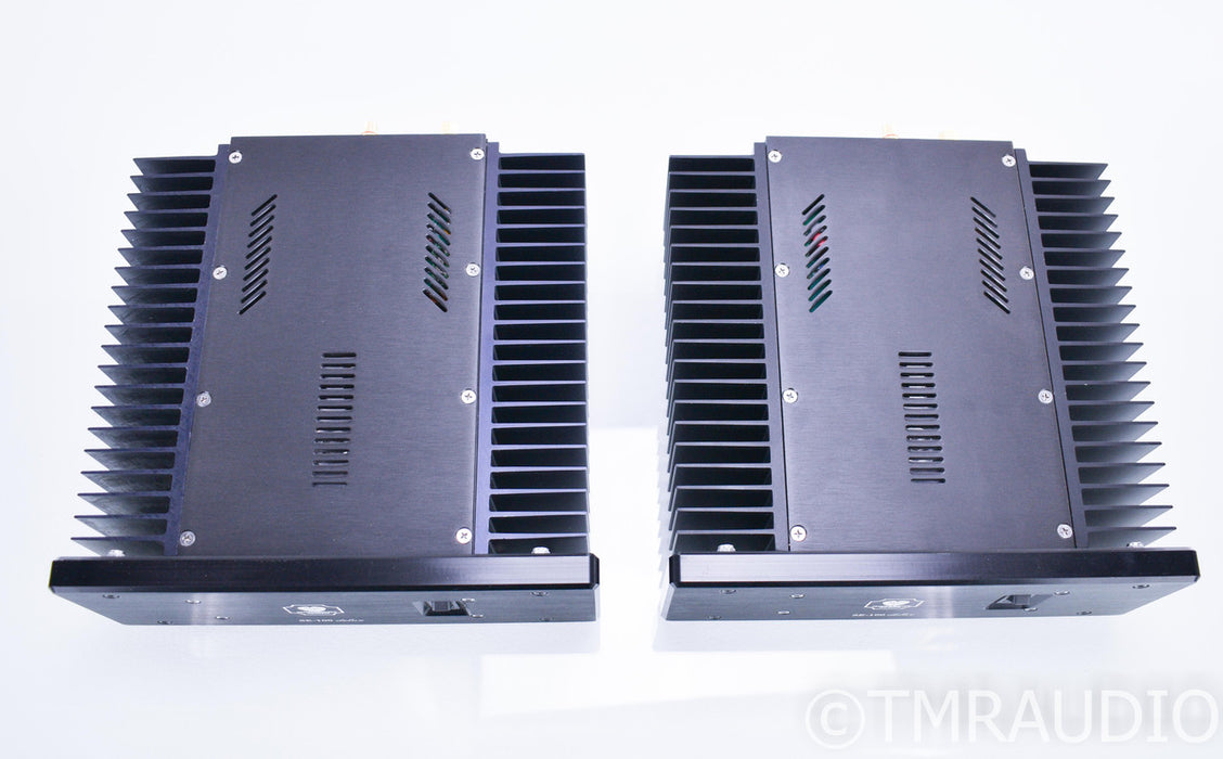 Monarchy Audio SE-100 Delux MKII Mono Power Amplifier