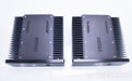 Monarchy Audio SE-100 Delux MKII Mono Power Amplifier