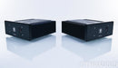 Monarchy Audio SE-100 Delux MKII Mono Power Amplifier