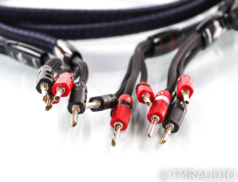 AudioQuest Gibraltar Bi-Wire Speaker Cables; 8ft Pair; 72v DBS