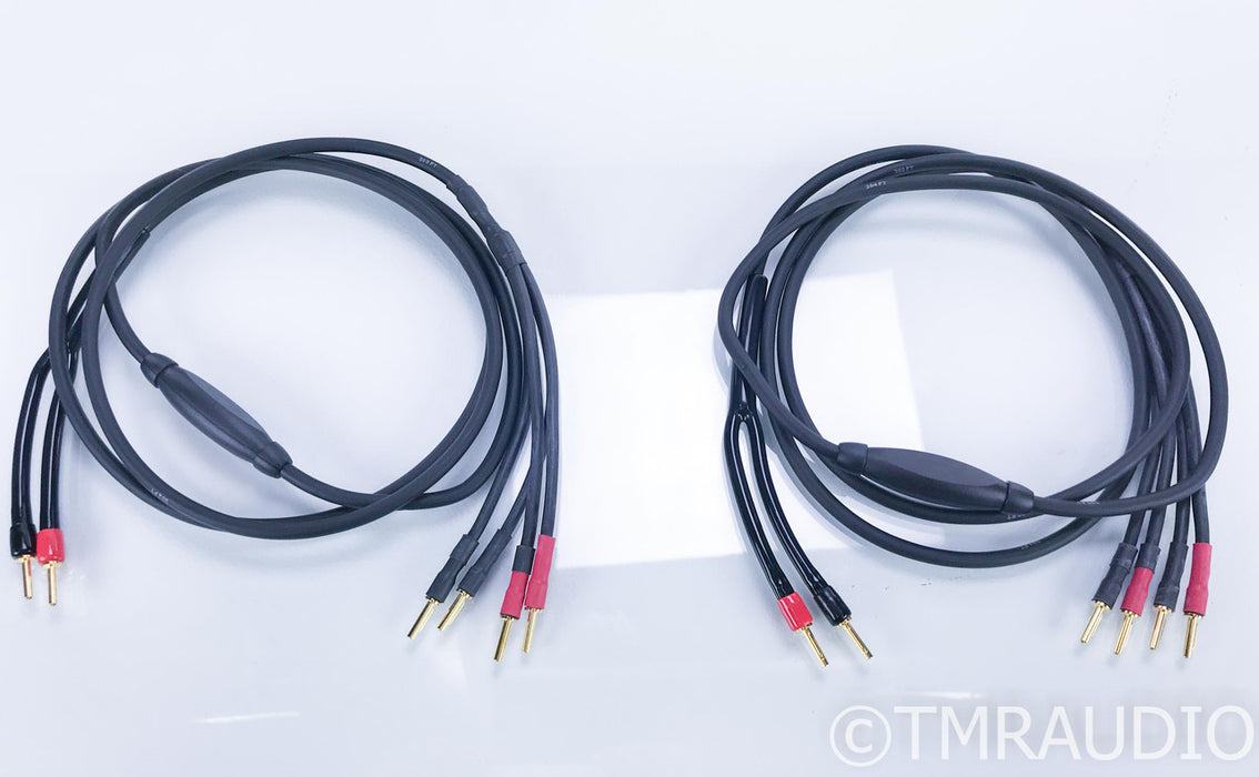 Transparent Audio The Wave Bi-Wire Speaker Cables