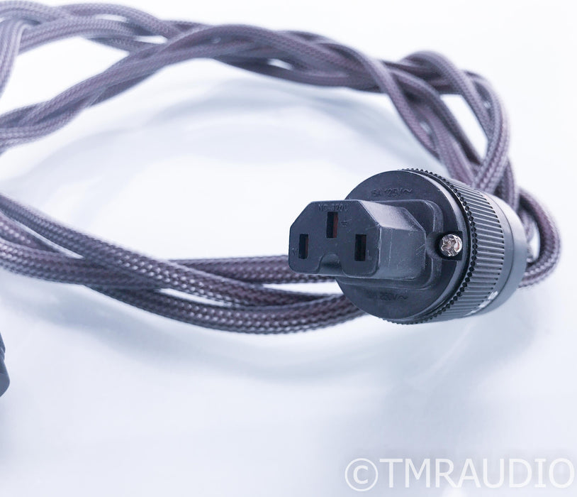 Anti-Cable Reference Series Level 3 Power Cord; 5ft AC Cord