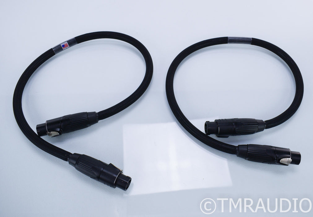 Revelation Audio Labs Passage CryoSilver Reference Power Umbilical Cord; 1m Pair; Speakon; Pass Labs XS