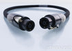 Revelation Audio Labs Passage CryoSilver Reference Power Umbilical Cord; 1m Pair; Speakon; Pass Labs XS