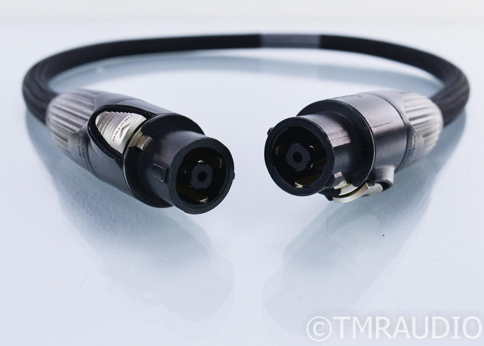 Revelation Audio Labs Passage CryoSilver Reference Power Umbilical Cord; 1m Pair; Speakon; Pass Labs XS