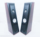 Thiel CS2.4SE Floorstanding Speakers