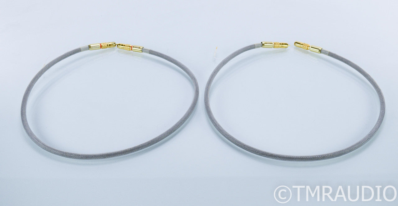 Tara Labs RSC Master Gen 2 RCA Cables; 1m Pair Interconnects