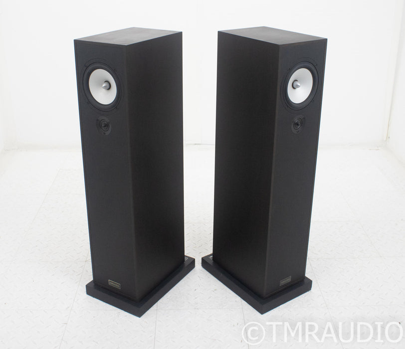 Trenner & Friedl Dizzy Floorstanding Speakers