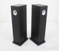 Trenner & Friedl Dizzy Floorstanding Speakers