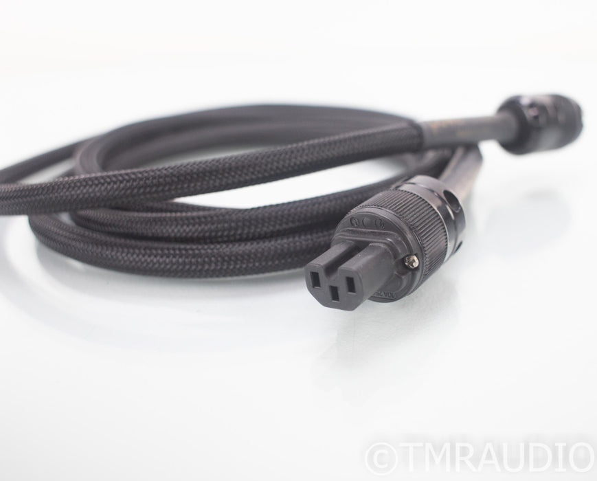 Audience PowerChord-e Power Cable; 10ft AC Cord
