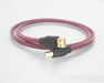 Transparent Audio Performance USB Cable; 1m Single Digital Interconnect