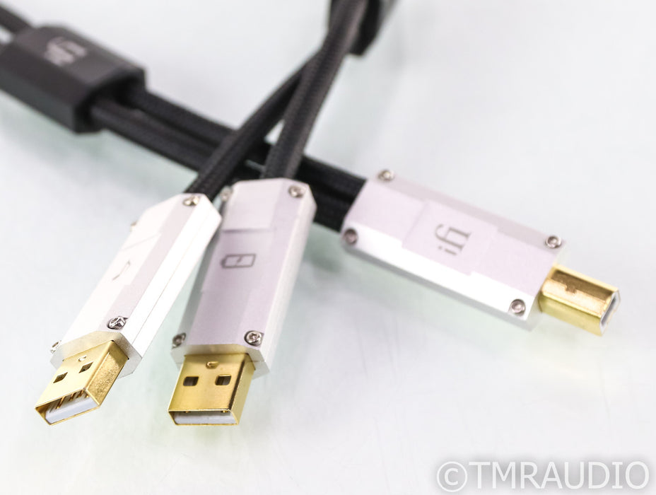 iFi Gemini Dual-Headed USB Cable; 0.7m Digital Interconnect