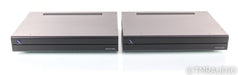 PS Audio Stellar M700 Mono Power Amplifier
