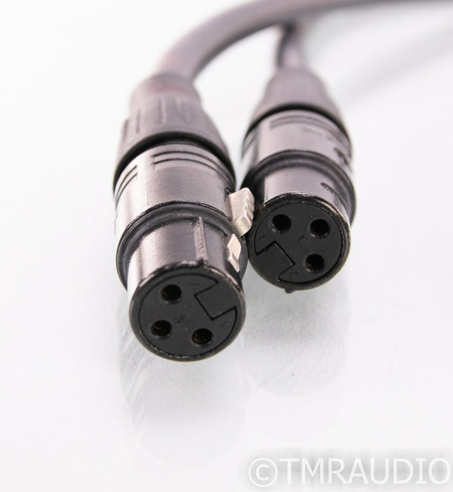 Monster M1000i XLR Cables; 1m Pair Interconnects