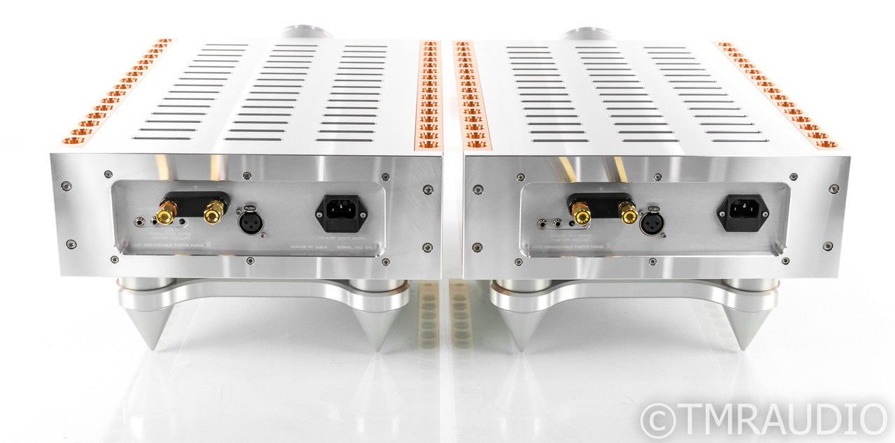 Dan D'Agostino M400 Mono Power Amplifier