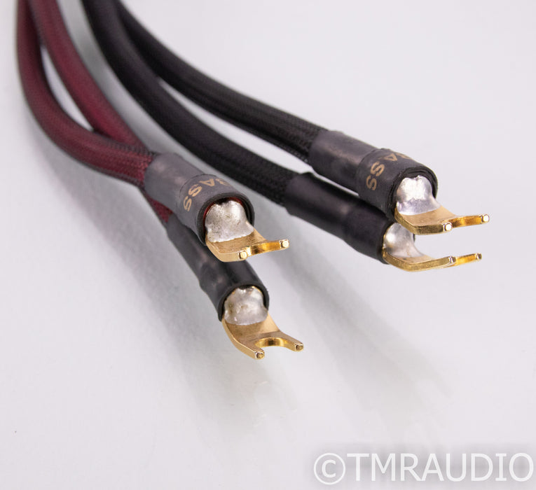 Transparent Audio MusicWave Ultra MM2 Bi-Wire Speaker Cables; 10ft Pair