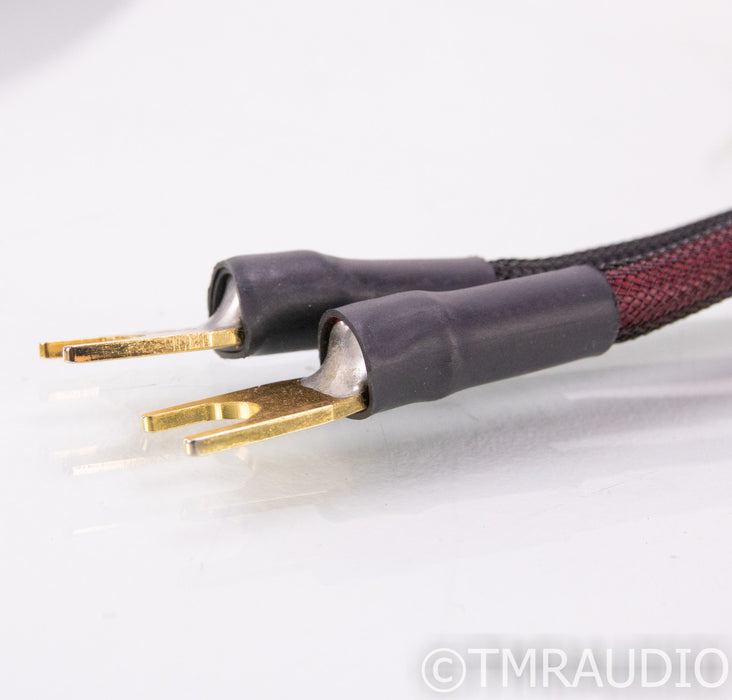 Transparent Audio MusicWave Ultra MM2 Bi-Wire Speaker Cables; 10ft Pair