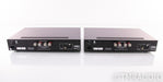 PS Audio Stellar M700 Mono Power Amplifier