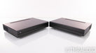 PS Audio Stellar M700 Mono Power Amplifier