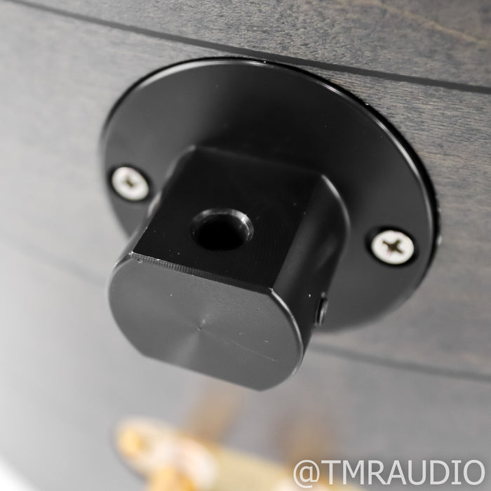 Sonus Faber Auditor Elipsa Bookshelf Speakers; Maple Graphite Pair