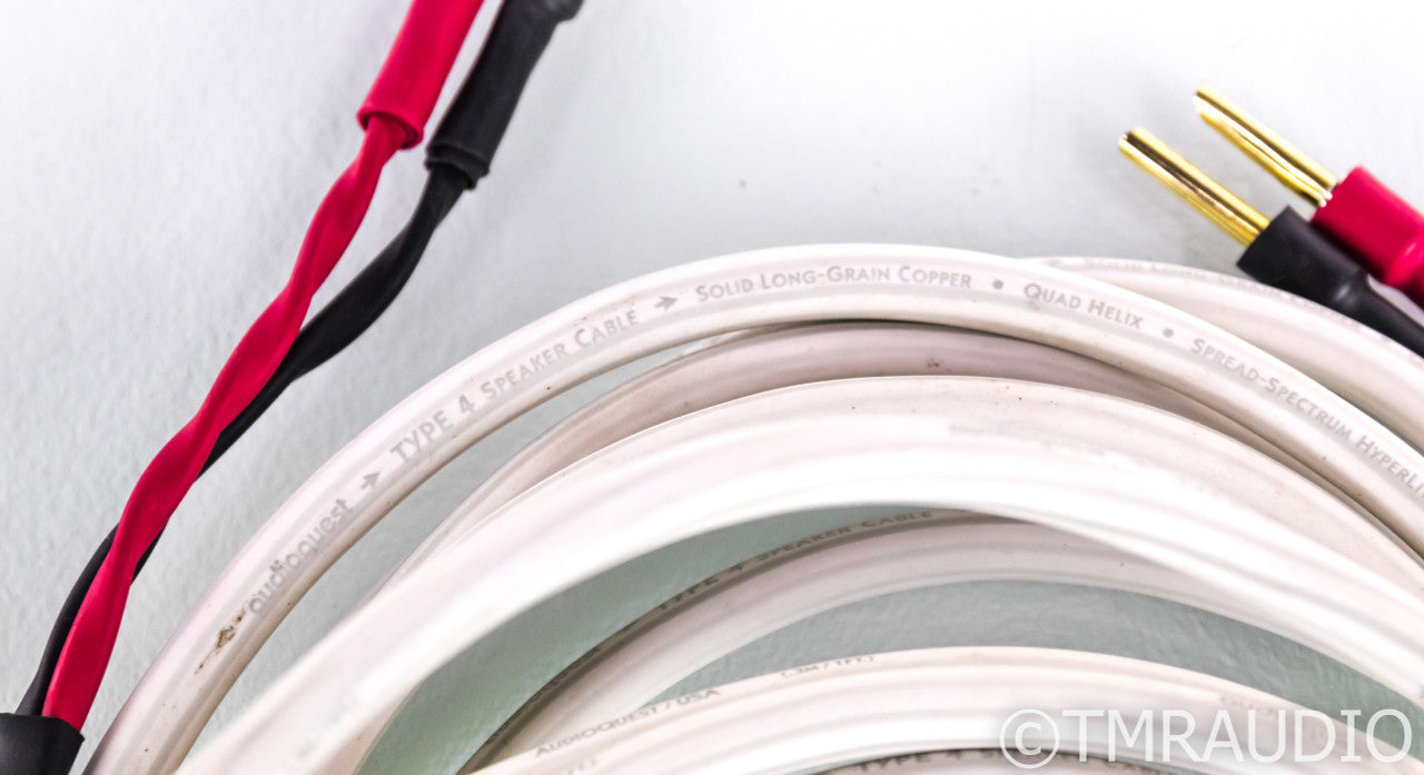Audioquest Type 4 Speaker Cables; 10ft Pair