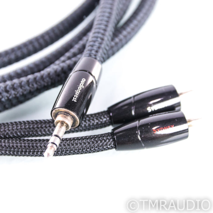 Audioquest Sydney Y Splitter Cable; 1/8" to RCA; Single 3m Interconnect
