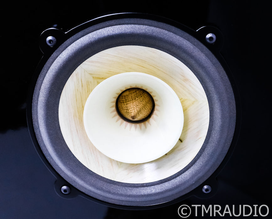 PureAudioProject Trio15 Voxativ Open Baffle Floorstanding Speakers