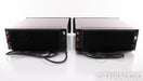 PS Audio 250 Delta Mono Power Amplifier