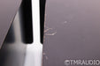 PS Audio 250 Delta Mono Power Amplifier