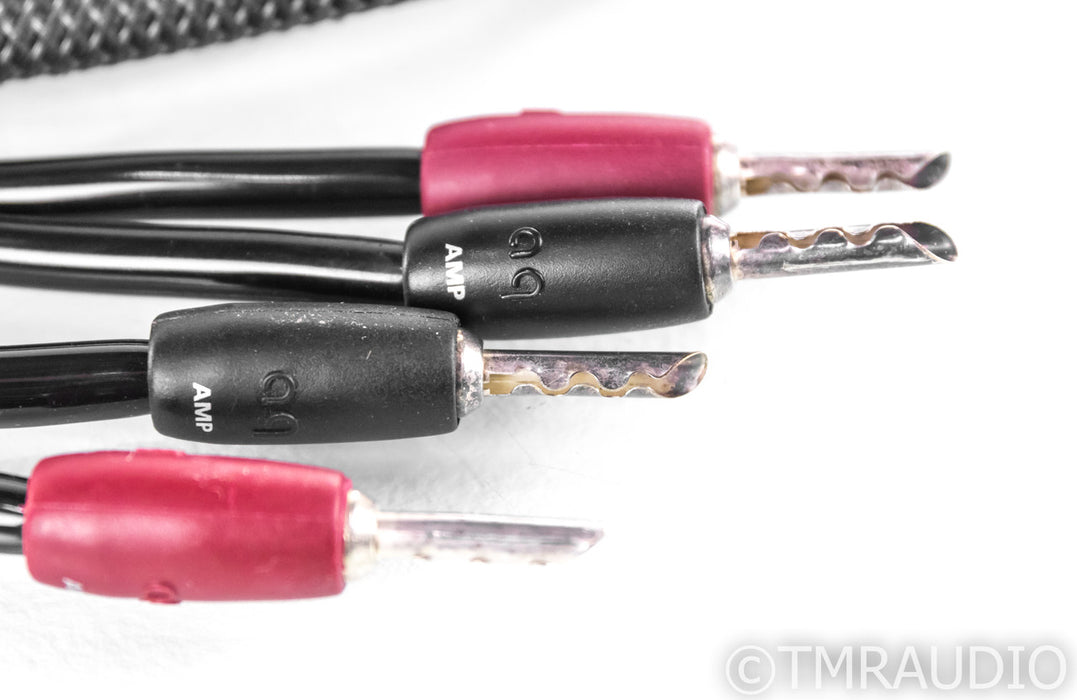 AudioQuest Type 4 Speaker Cables; 10ft Pair; BFA Bananas