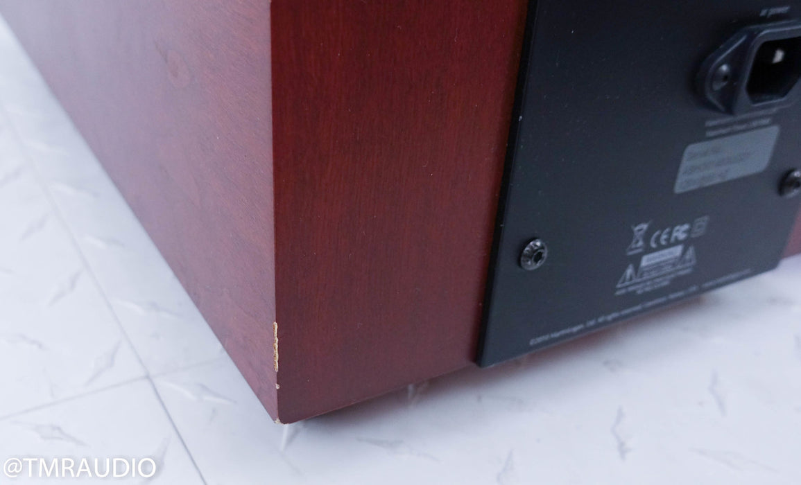 Martin Logan Ethos Electrostatic Hybrid Floorstanding Speakers