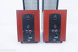 Martin Logan Ethos Electrostatic Hybrid Floorstanding Speakers