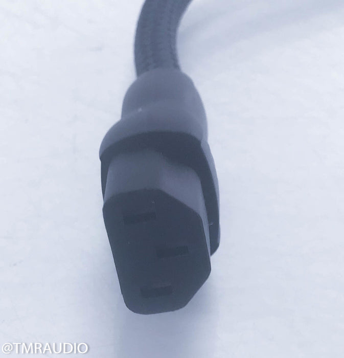AudioQuest NRG X Power Cable