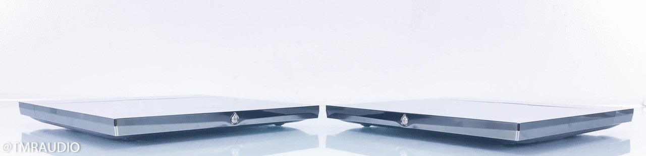 Devialet Expert 440 Mono Power Amplifier