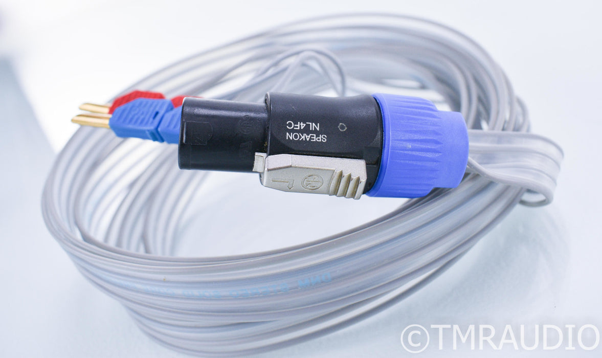 DNM Solid Core Precision 2 Bi-Wire Speaker Cable; 10ft Pair