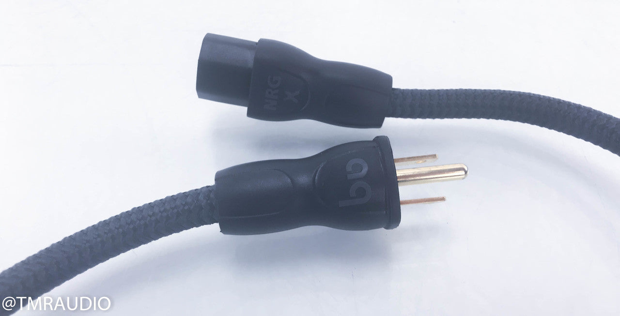 AudioQuest NRG X Power Cable