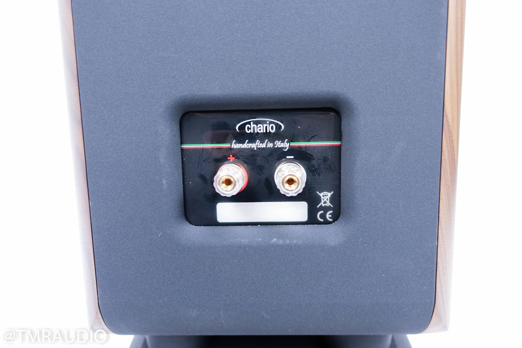 Chario Ursa Major Floorstanding Speakers