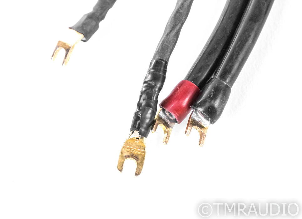 Transparent Audio MusicWave Super Speaker Cable; 10ft Pair