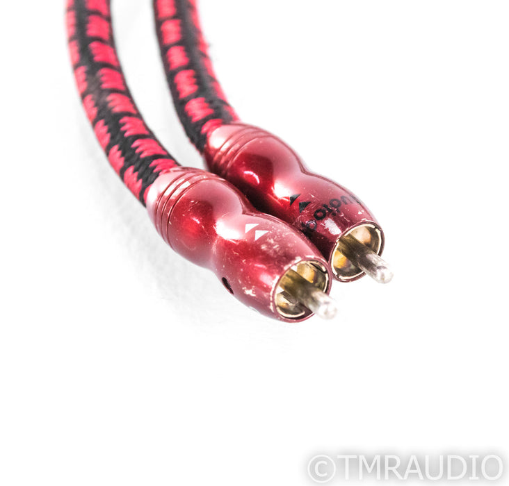 AudioQuest King Cobra RCA Cables; 1m Pair Interconnects