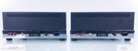 Quicksilver Audio V4 Mono Tube Power Amplifier