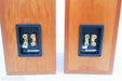 B&W P6 Floorstanding Speakers